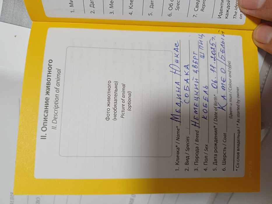 Продам шпица 3 месяца