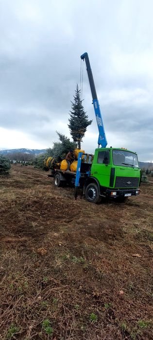 Услуги манипулятора