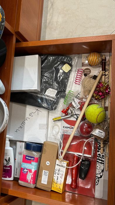 РЕЗЕРВИРАНО ДО 21.02 Котка всичко за 100€ прочети описание