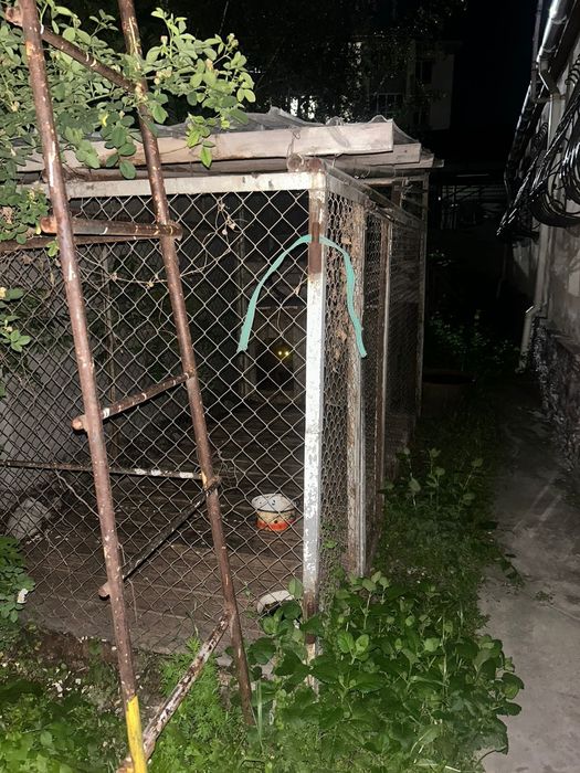 Вольер для крупных собак