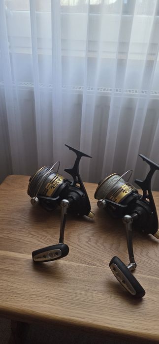 Black cat extreme 495