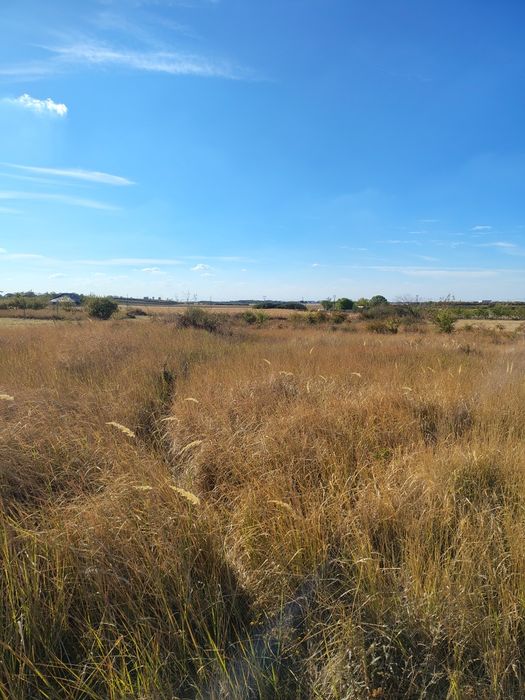 Teren 500 mp – Cihei / limită Apateu | Lângă Inelul Metropolitan
Vând teren intravilan