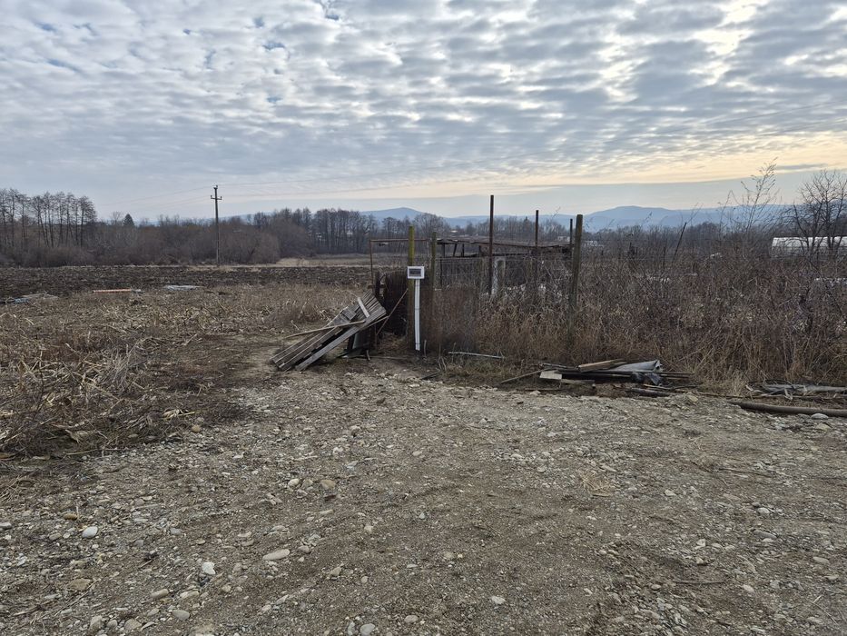 5900m2 teren+ curent