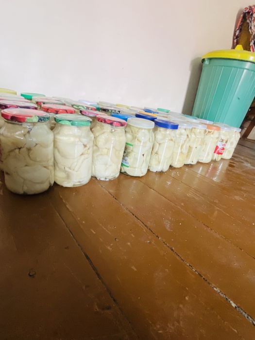 Продам грузди соленые