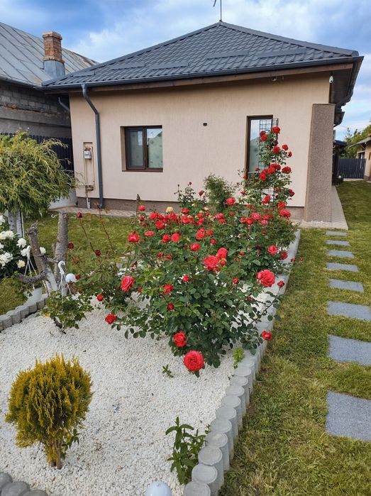 Casă de vânzare în Săcueni Dâmbovița