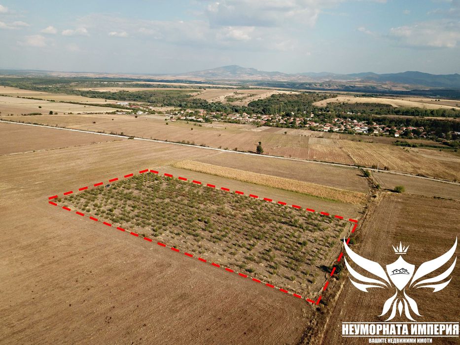 Продавам земя 24.5 декара засята със сливови дръвчета в с.Нови Извор