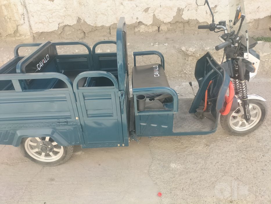 elekron muravey cavallo