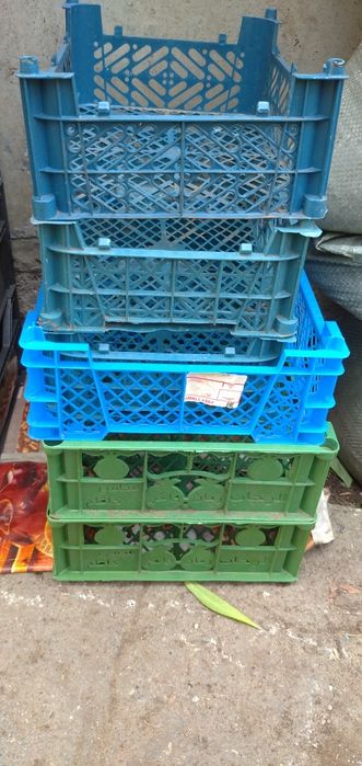 Ящики пластмассовые