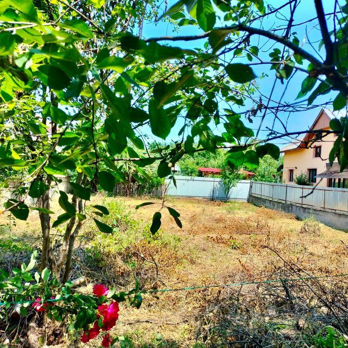Casă de vânzare și teren  intravilan și extravilan
