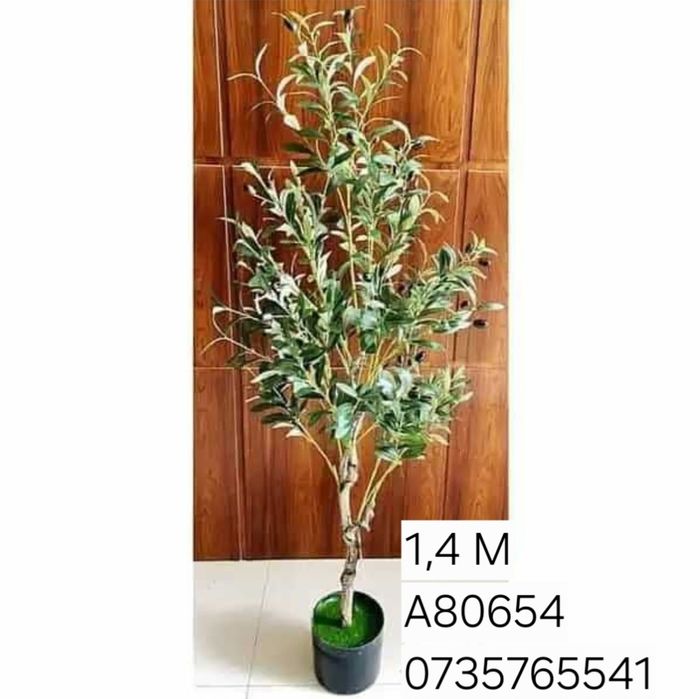 Palmier maslin copac exotic frunze cu aspect natural