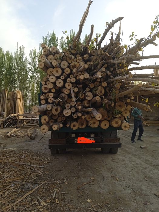 Avia xamma joyi soʻz xolatda