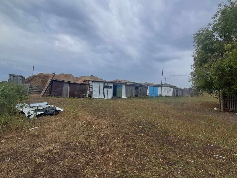 Дом в хорошем состоянии