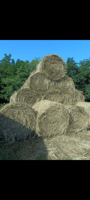 Baloți de paie calitate foarte buna