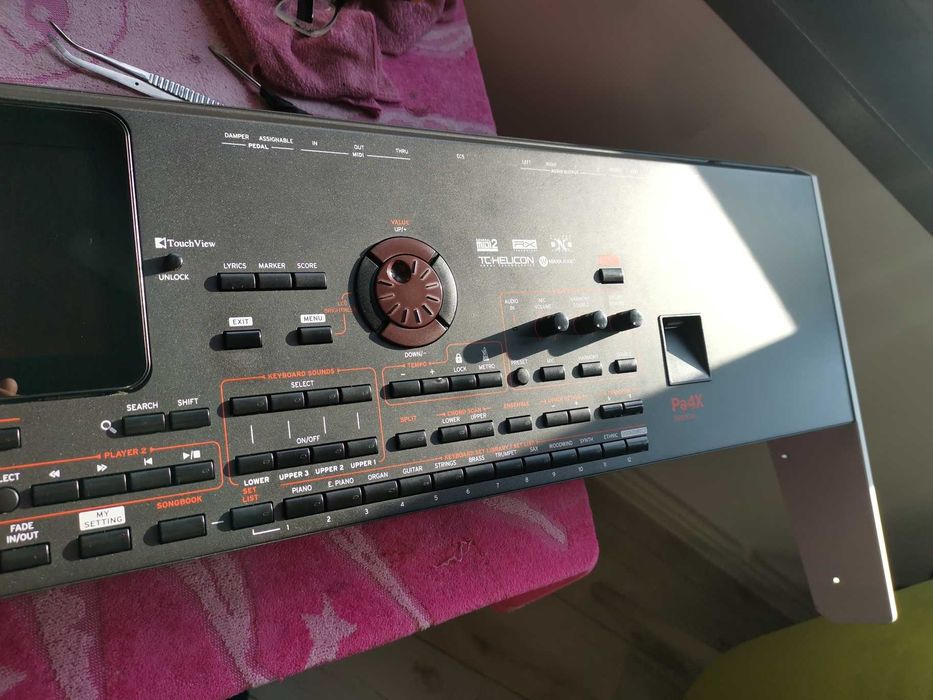 Estetizare, Igienizare Korg Pa