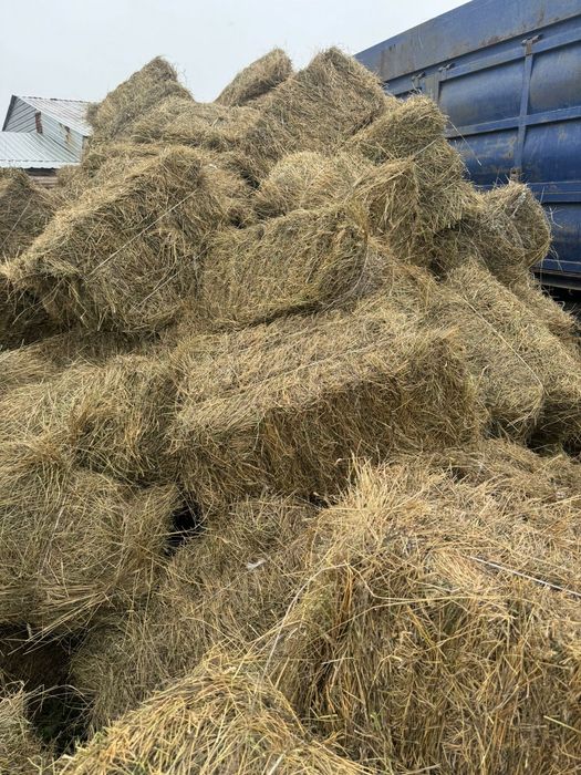 Продам сено тюковое
