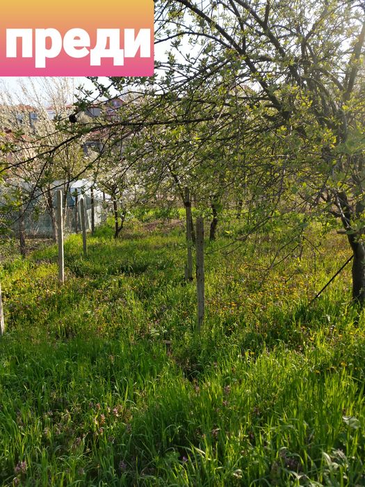 Косене на трева, поддръжка и почистване на тревни площи !