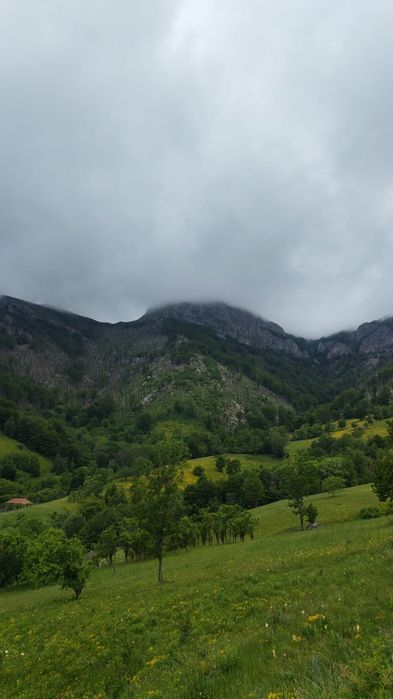 Teren Poiana Lunga,Cornereva