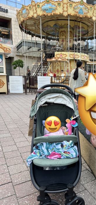 Всесезонная коляска Joie