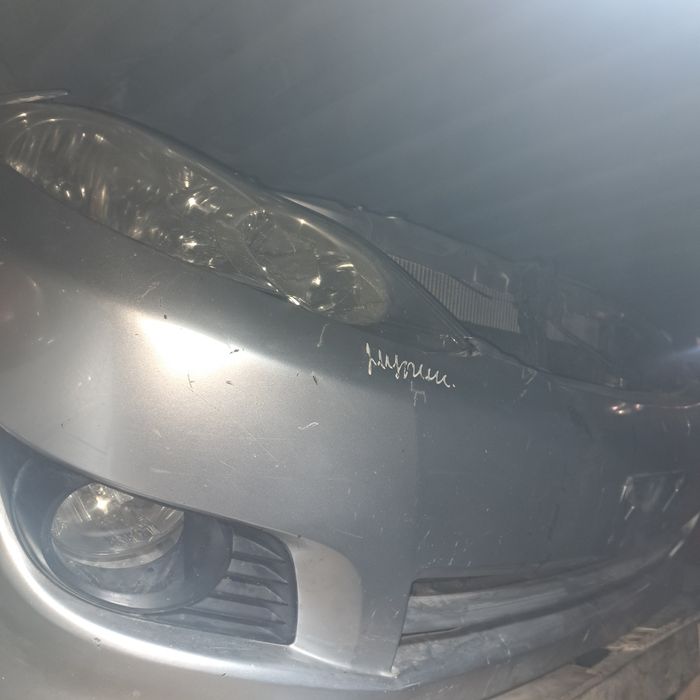 Ипсум Морда носкат