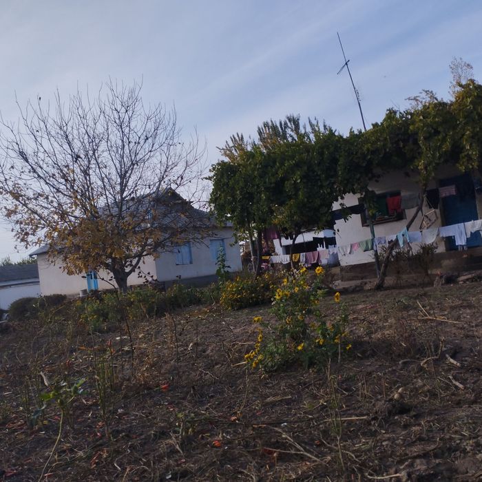 Уй сотилади 1 та Уй нархига 2 та уй зор уй зор нарх