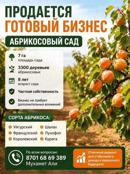 Абрикосовые сады
