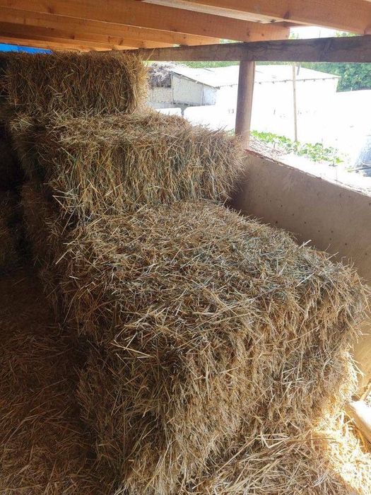 Сомон пресс фаргона