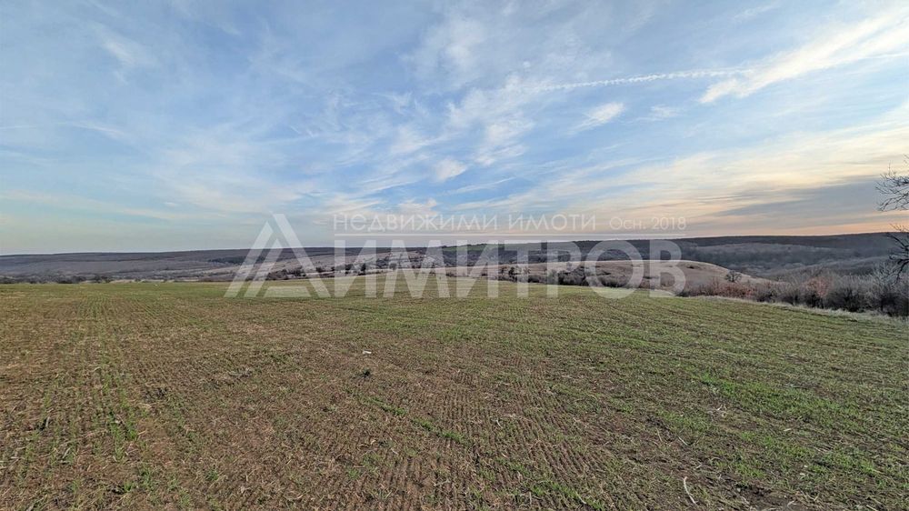 Продава парцел 5 дка в регулация между селата Мировци и Писарево.