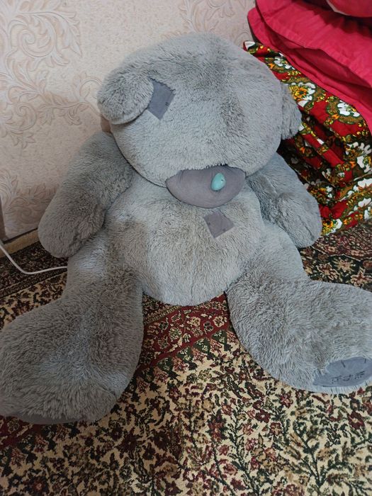 Teddy ayiqcha judayam kotta