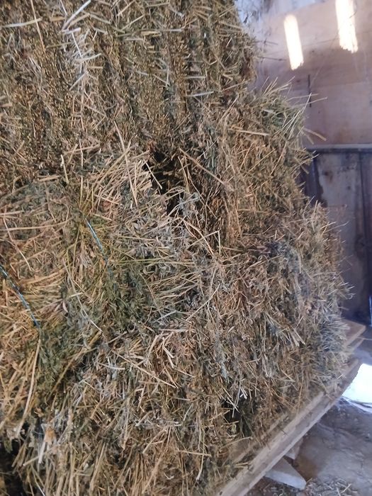 Baloti Lucernă si fân.