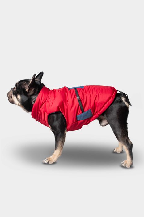 Грейка за куче LAPORA - 3 вида кройки