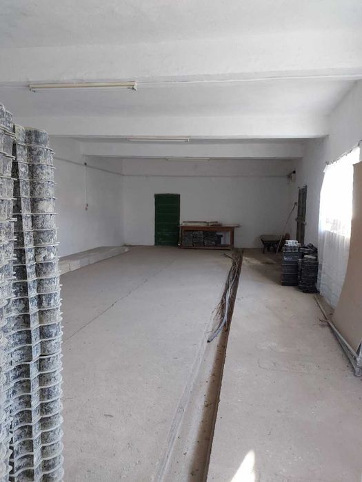 Hala 450  mp,teren 3000 mp la 35 km de vama Petea cu Ungaria