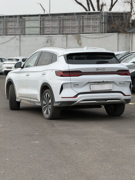 Smart BYD chempion 2024-25