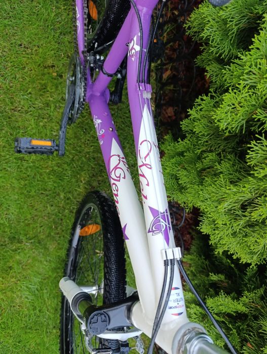 Алуминиево колело GENESIS MELISSA 24/S