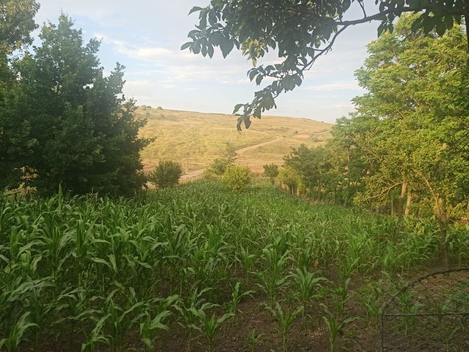 Vând casă parinteasca județ Botoșani