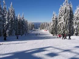 Персонален Ски учител в Банско