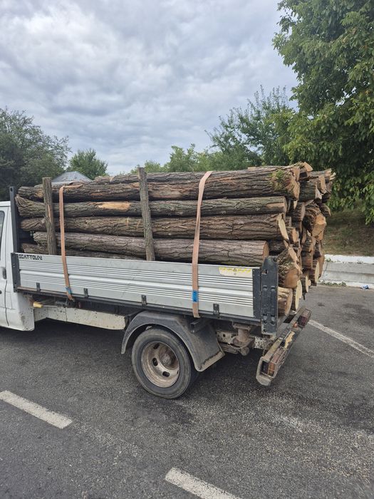 Lemn foc salcim tăiate capete. Furci si pari ptr solar