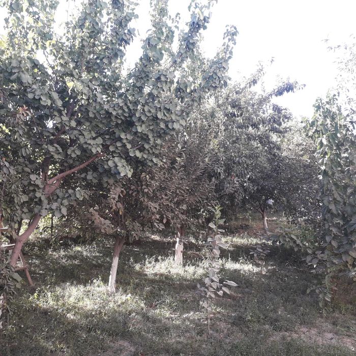 Продаётся дом 5 соток