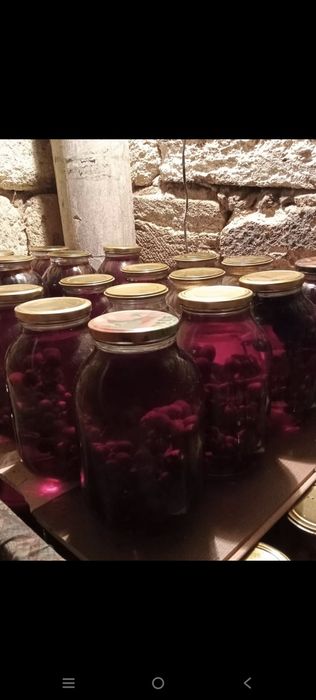 Продам домашнее соленье