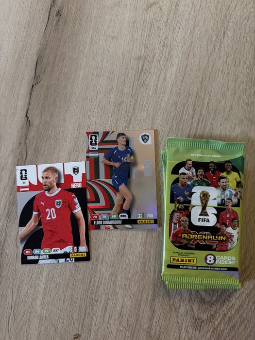 Panini стикери световно