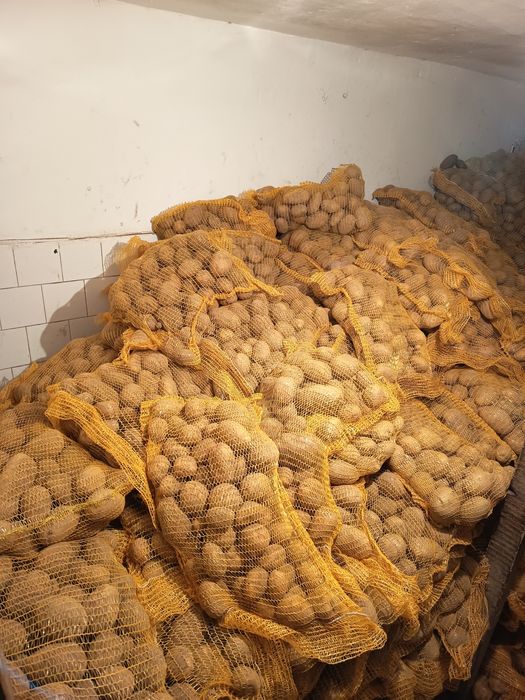 Cartofi de consum (en gross)