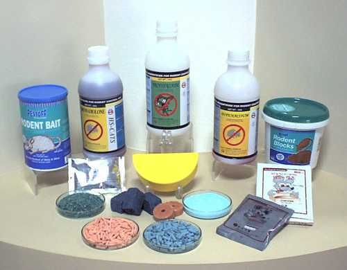 Dezinfeksiya dezinfeksiya klapa дезинфекция klop klapa tarakan 4D