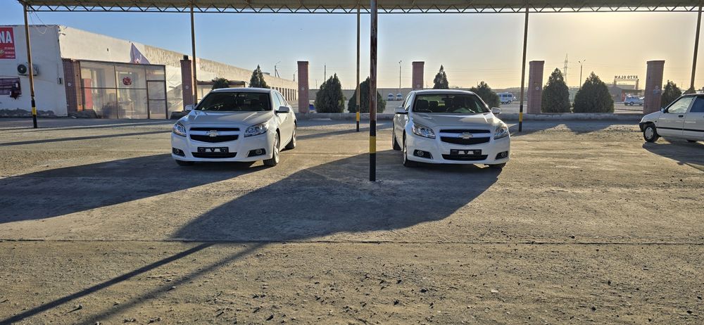 Malbu1 2chi podisiya