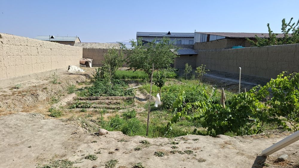 Куриб битмаган участка сотилади 8 сутик