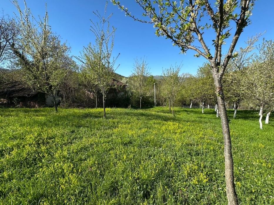 Продава се Парцел в с. Орешак, Област Ловеч - 509 кв.м за 18 €/кв.м - Снимка #7