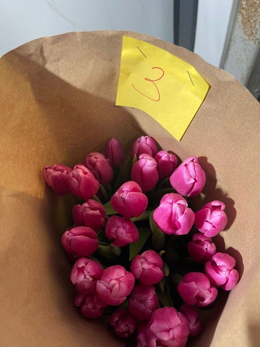 Тюльпаны оптом с теплицы