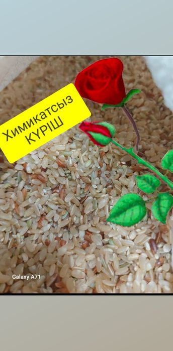 Оргазмға арналған кискаңызды мастурбациялаңыз