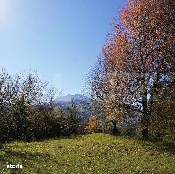 Teren 2500 mp, la strada, Ceahlau,, locatie perfecta