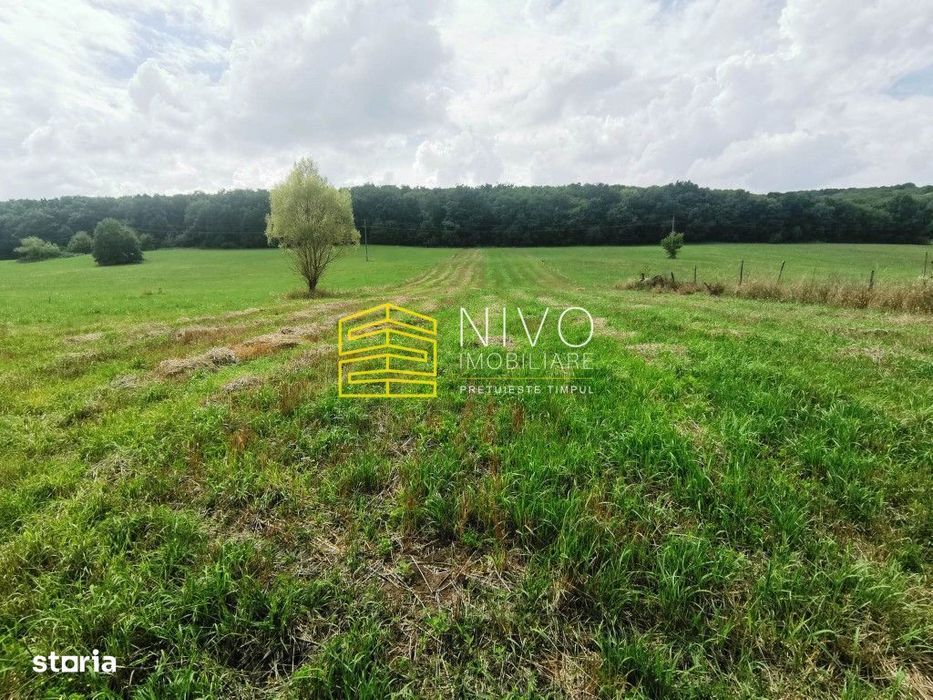 Teren intravilan - Budiu Mic - Str. Principală