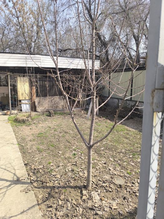 Продам дом полностью меблированный