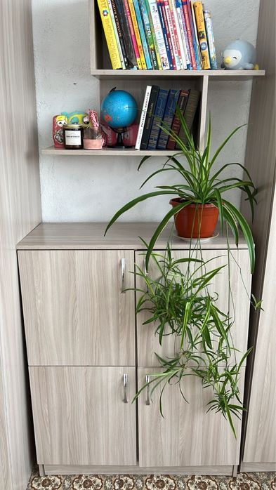 Мебель, шкафы, стол, кровать